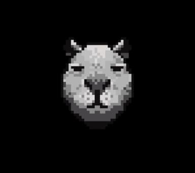 CAPYBARA