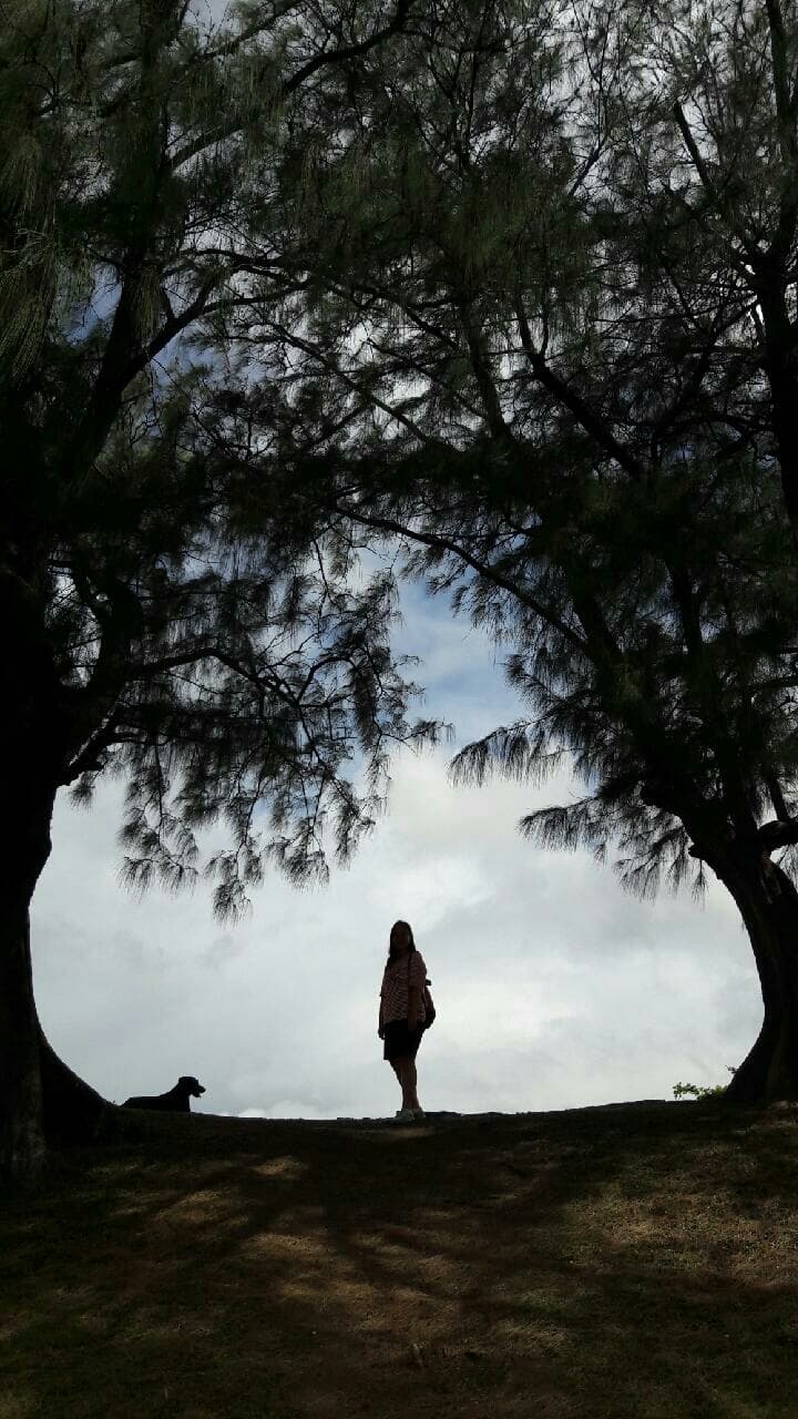 Gyusoo Jung